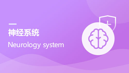神经系统 Neurology system