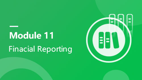 Module 11 - Finacial Reporting