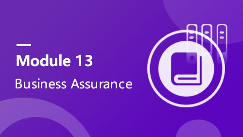 Module 13 - Business Assurance