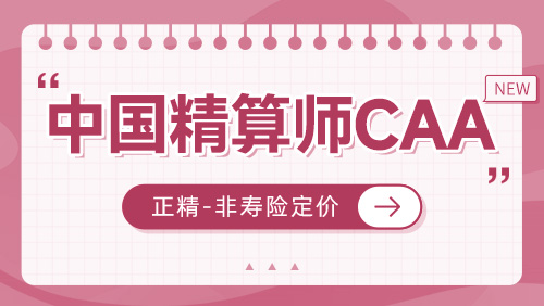 正精-非寿险定价